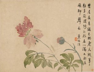 清 汪士慎 花卉图册十二开-10-X 31.2x24.2[花鸟] 