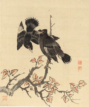 清 杨晋 花鸟册页十二开-10 33x40[花鸟] 