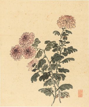 清 杨晋 花鸟册页十二开-9 33x40[花鸟] 