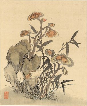 清 杨晋 花鸟册页十二开-2 33x40[花鸟] 