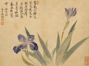 清 华喦 华岩 花鸟草虫册页八开02 31x23[花鸟] 