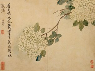 清 华喦 华岩 花鸟草虫册页八开07 31x23[花鸟] 