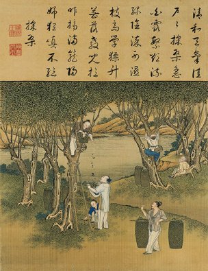 清 佚名 雍正耕织图册页-36 30x39[人物] 