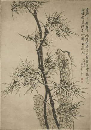清 佚名 竹石图 纸本44X62[花鸟] 