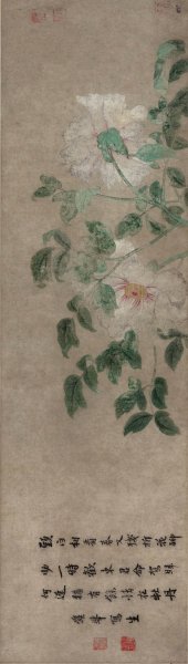 未知朝代 舜举 写生 29x102[花鸟]