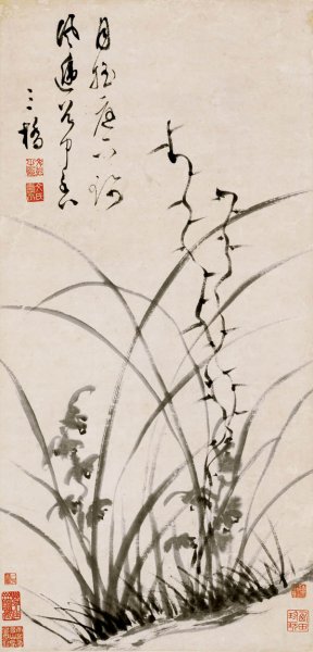 未知朝代 佚名 兰花图 31.3x65.2[花鸟] 