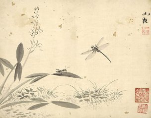 明 杜大成 花碟草虫十开-02 [花鸟]