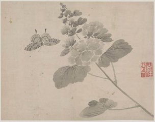 明 杜大成 册页花蝶草虫十开ceye5-3 [花鸟]