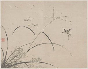 明 杜大成 册页花蝶草虫十开ceye5-6 [花鸟]