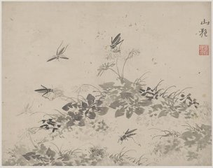 明 杜大成 册页花蝶草虫十开ceye5-9 [花鸟]