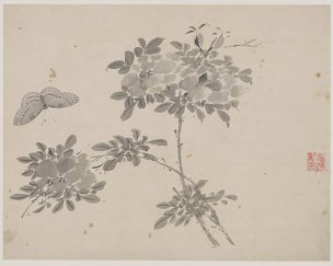 明 杜大成 册页花蝶草虫十开ceye5-2 [花鸟]