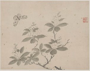 明 杜大成 册页花蝶草虫十开ceye5-4 [花鸟]