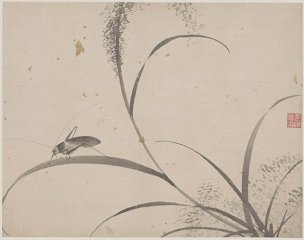 明 杜大成 册页花蝶草虫十开ceye5-10 [花鸟]