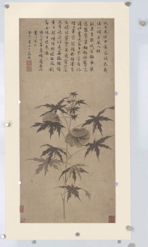 明 文征明 名画巨册选songyuanming-004[花鸟]
