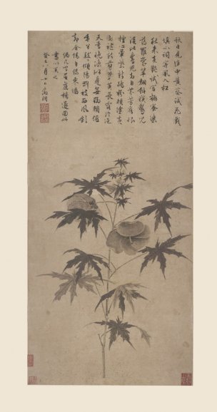 明 文征明 秋葵折枝图[花鸟]