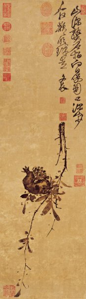 明 徐渭 榴实 36x124[花鸟]
