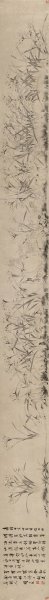 明 周天球 水仙图  纸本 画心（缩小）全图 33.5