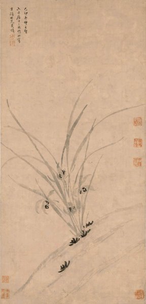 明 周天球 兰花图 24x50[花鸟]