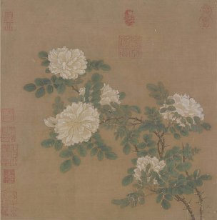 宋 马远 图页 白蔷薇图页（故宫博物馆）[花鸟