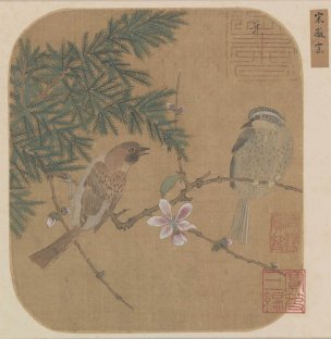 宋 赵佶 宋徽宗 花鸟图册 56x58[花鸟]