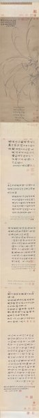 宋 赵孟坚 墨兰图全卷 368.15×34.5 [花鸟]