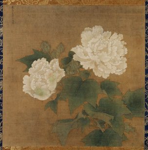 宋 李迪 白芙蓉(东京国立) 50x50[花鸟]