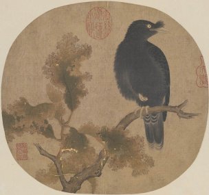 宋 佚名 秋树鸜鹆图 26.5×25 [花鸟]