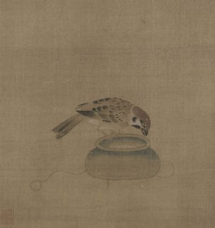 宋 佚名 驯禽俯啄图页 24.1×25.7 [花鸟]