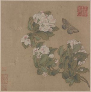 宋 佚名 海棠蛱蝶图页[花鸟]