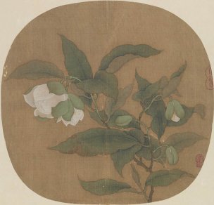 宋 佚名 夜合花图页 25.4×24.5[花鸟]