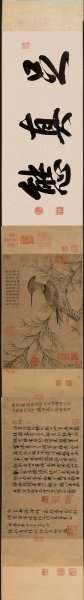 元 赵孟頫 幽篂戴胜图纸本 179.4×25.4 [花鸟] 