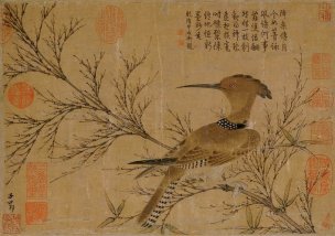 元 赵孟頫 戴胜图 35×25 [花鸟] 