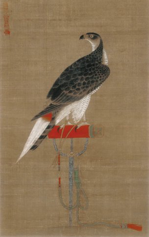 元 徐泽 架上鹰图 绢本 30×47.6[花鸟] 