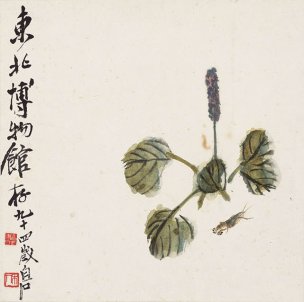 近现代 齐白石 -1086-蝼蛄红蓼图 33x33[花鸟] 