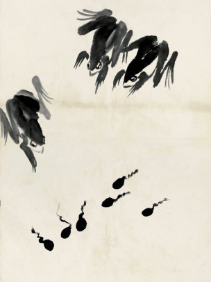 近现代 齐白石 鱼虾册页 未命名 1147 36x48[其它]