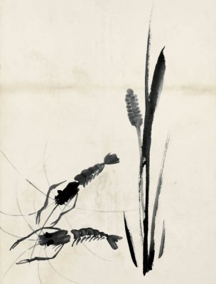 近现代 齐白石 鱼虾册页 未命名 1143 36x48[其它]