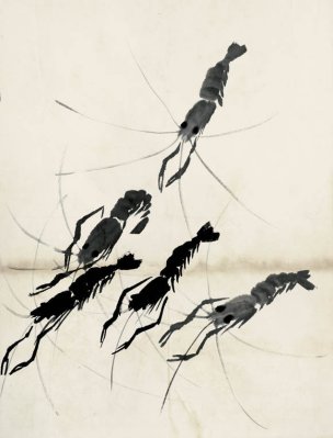近现代 齐白石 鱼虾册页 未命名 1090 36x48[其它]