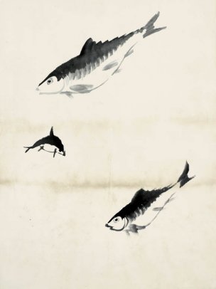 近现代 齐白石 鱼虾册页 未命名 1084 36x48[其它]