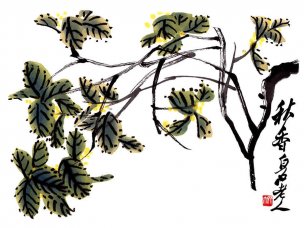 近现代 齐白石 秋香[花鸟]