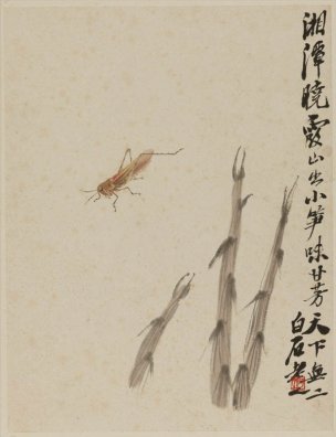 近现代 齐白石 竹笋蚂蚱-N 40x53[其它]