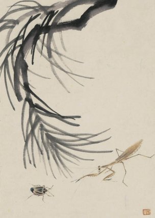 近现代 齐白石 拍照册页20开-14 21x30[花鸟] 