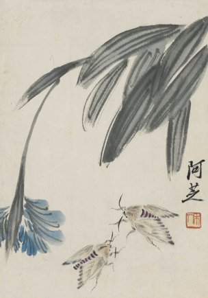 近现代 齐白石 拍照册页20开-20 21x30[花鸟] 