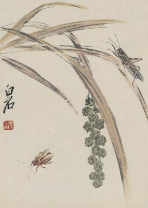 近现代 齐白石 拍照册页20开-11 21x30[花鸟]