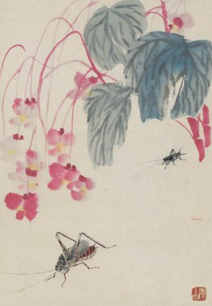 近现代 齐白石 拍照册页20开-06 21x30[花鸟]