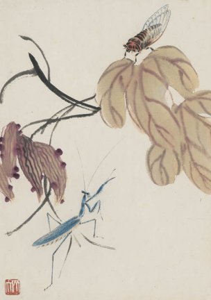 近现代 齐白石 拍照册页20开-09 21x30[花鸟]