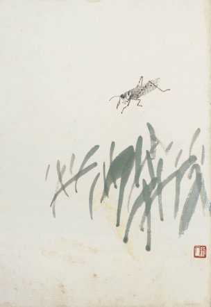 近现代 齐白石 册页拍照小片116开 489 -1 28x40[花鸟