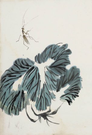 近现代 齐白石 册页拍照小片116开 501-1 28x40[其它