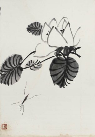 近现代 齐白石 册页拍照小片116开 485 -1 28x40[花鸟
