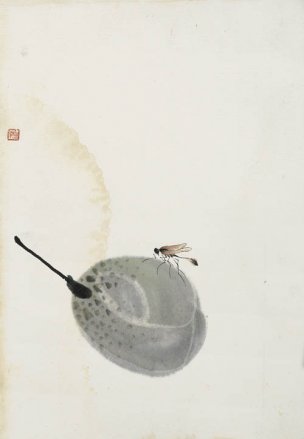 近现代 齐白石 册页拍照小片116开 459 28x40[其它