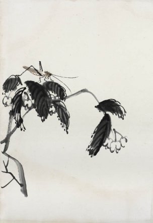 近现代 齐白石 册页83开 557 28x40[花鸟]